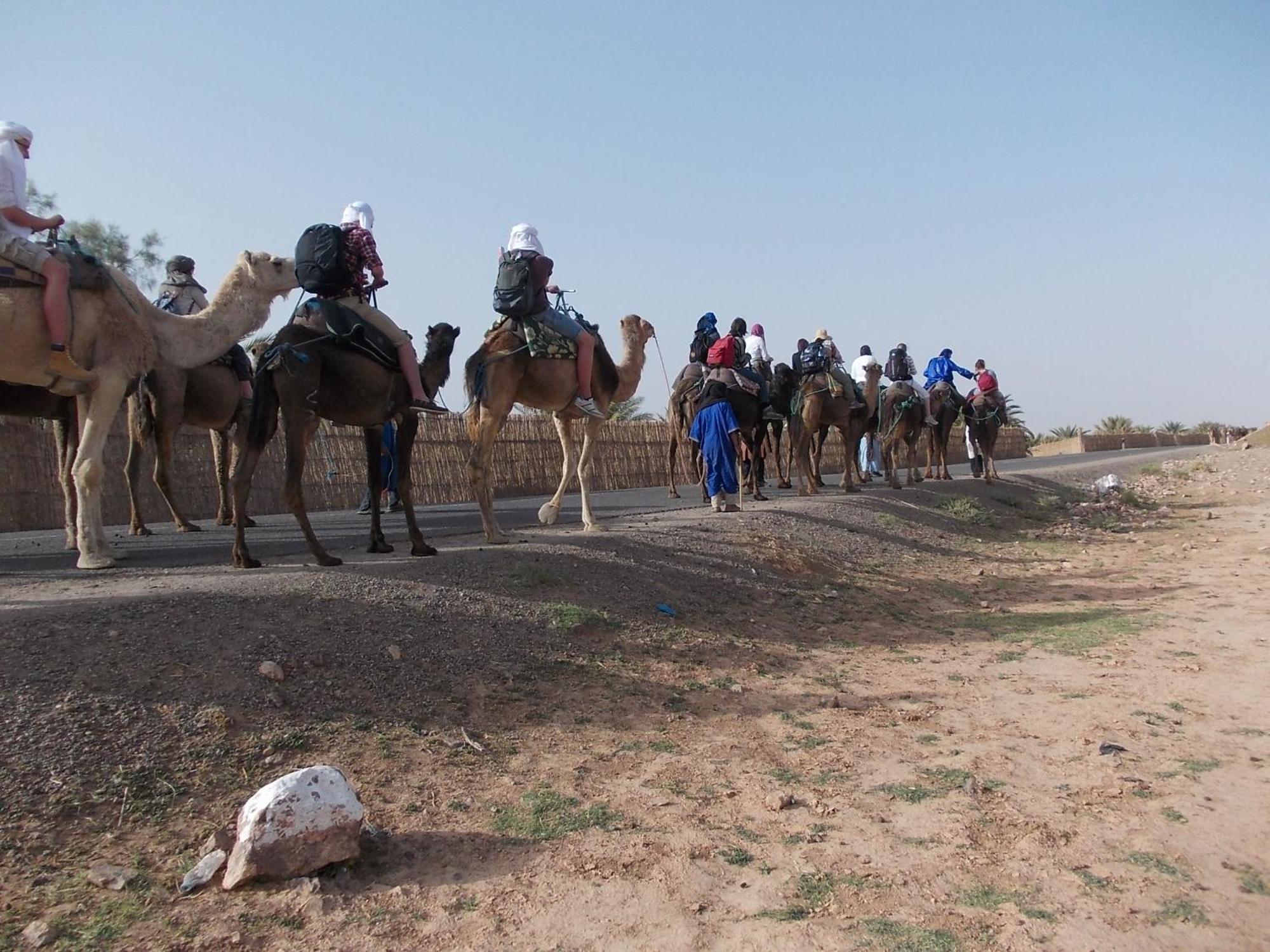 Bivouac Draa Hotel Zagora Ngoại thất bức ảnh